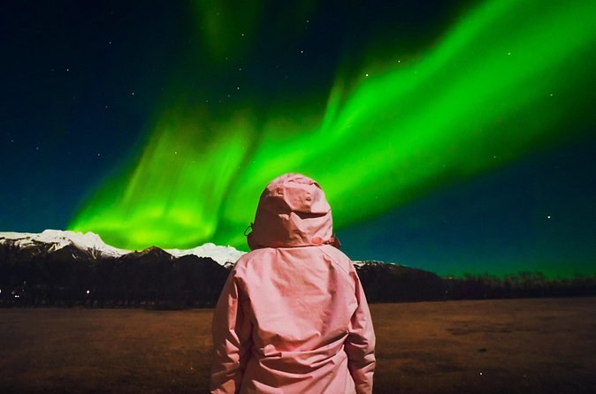 A watcher in a pink hooded coat seen from behind, aurora over snowy mountains