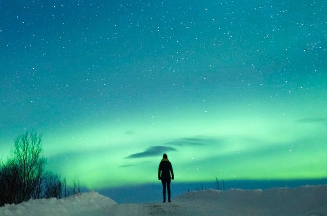 A figure standing on snow under a wide teal aurora